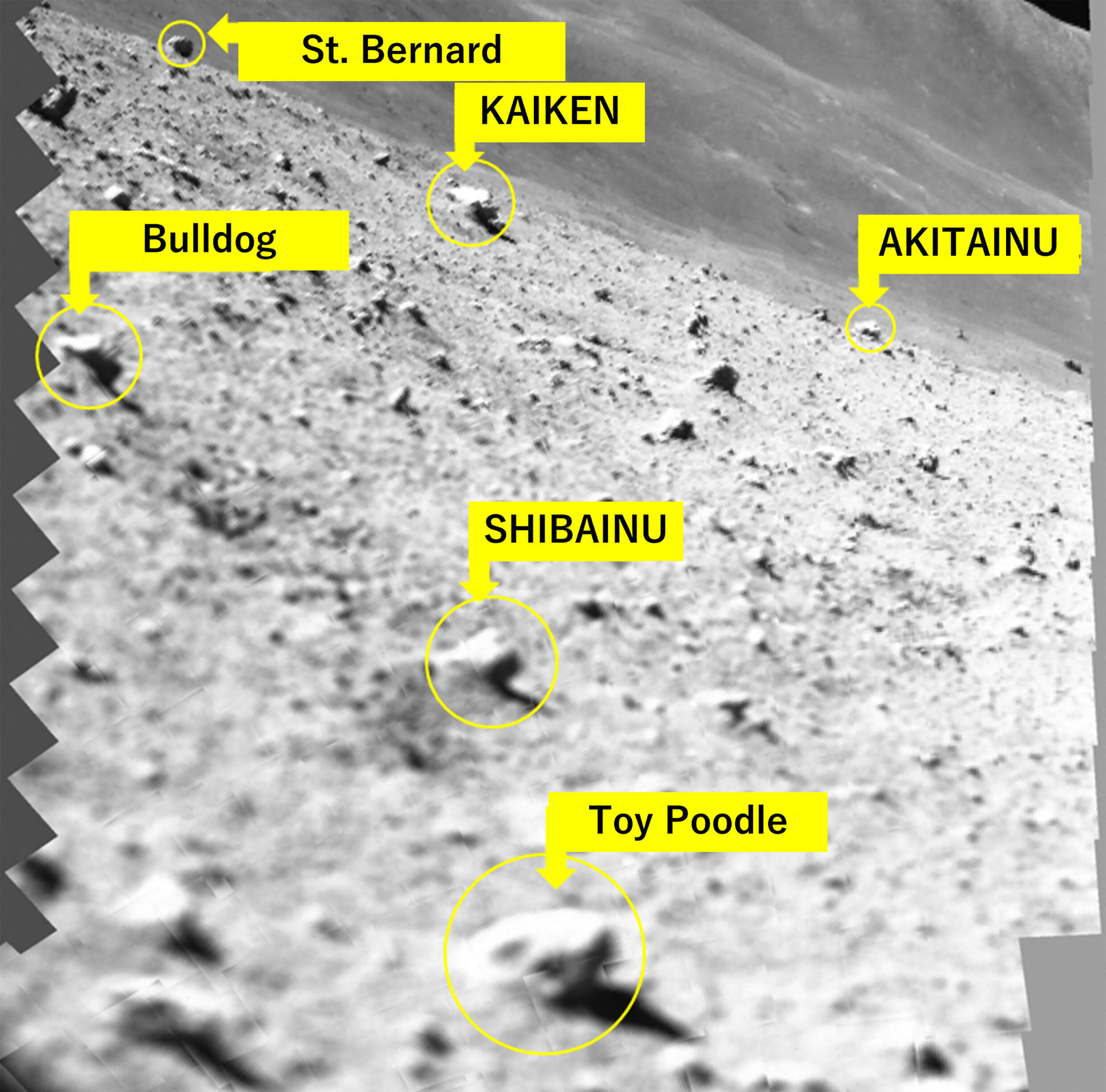 This handout photo released on January 25, 2024 shows rocks given nicknames in this mosaic of monochrome images of the lunar surface.