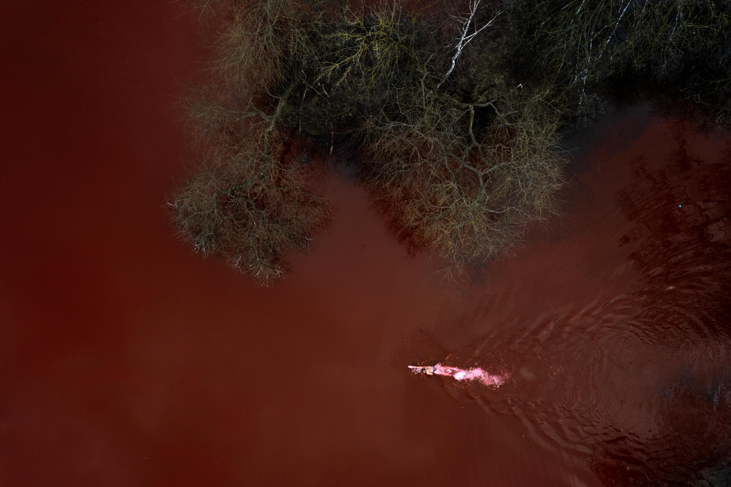 Olympic and world champion Ruta Meilutyte swims across a pond colored red to signify blood, in front of the Russian embassy in Vilnius, Lithuania, Wednesday, April 6, 2022.