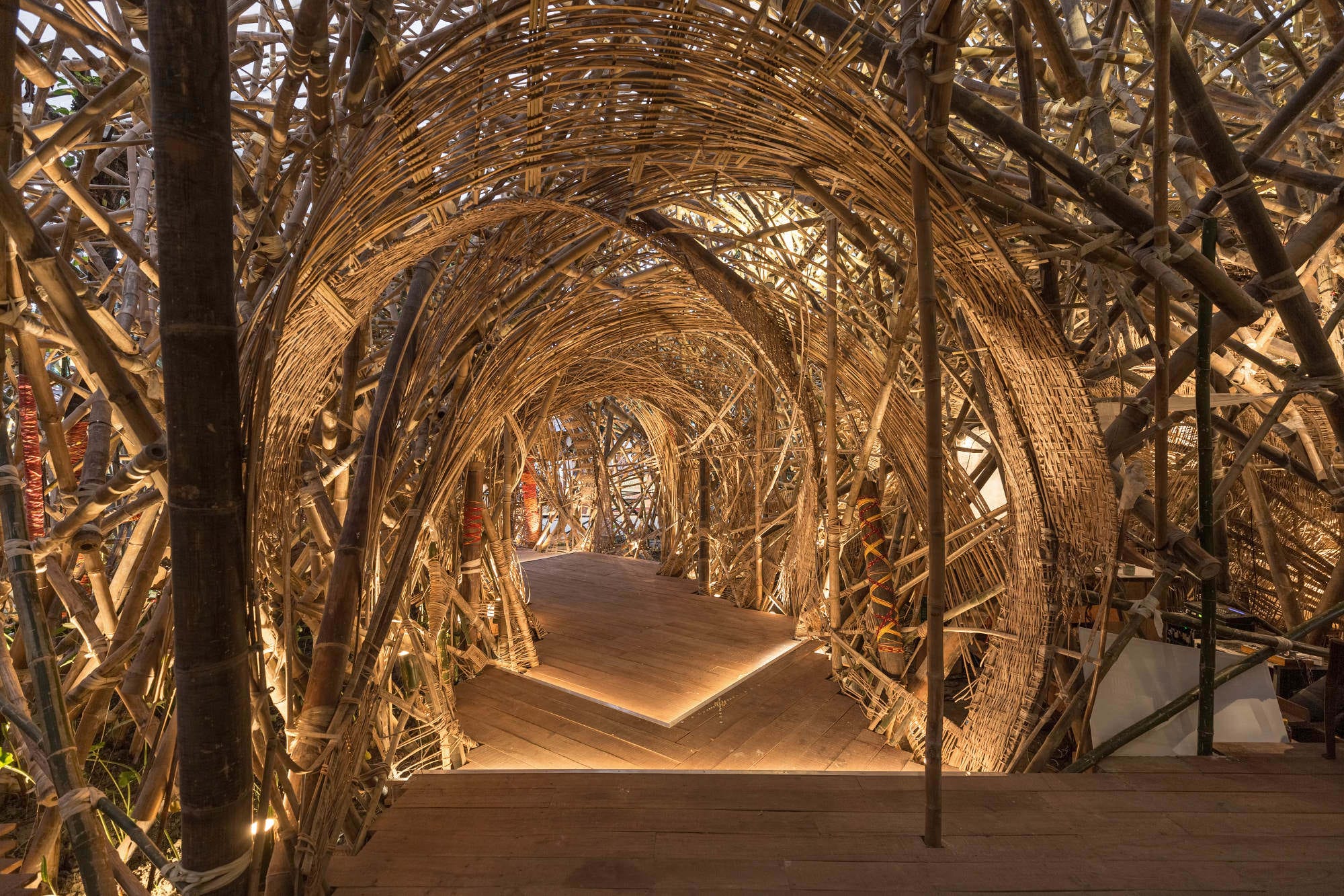 a bamboo walkway illuminated by light