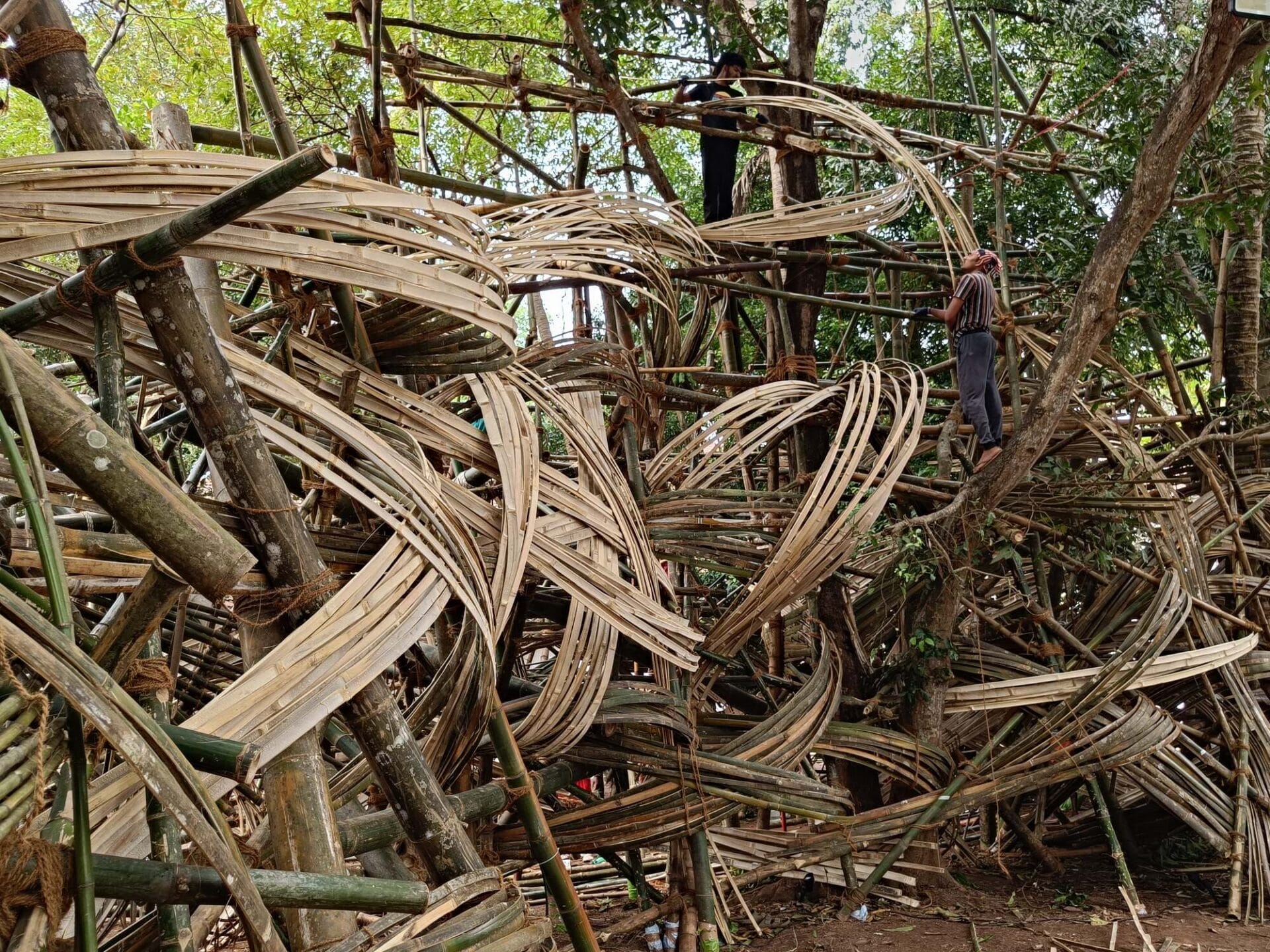 a person climbs a swirling structure in trees
