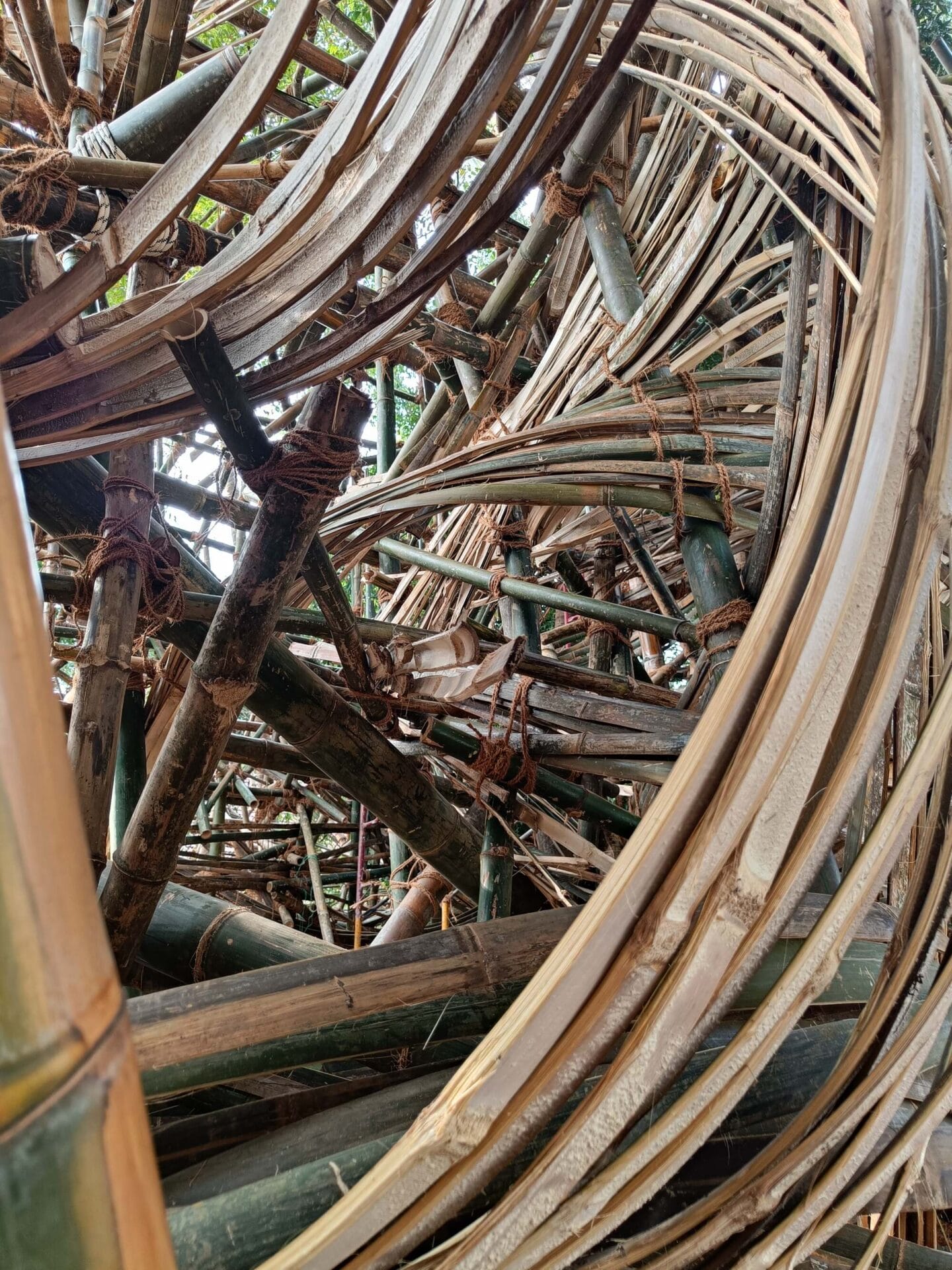 a detail of a swirling bamboo structure