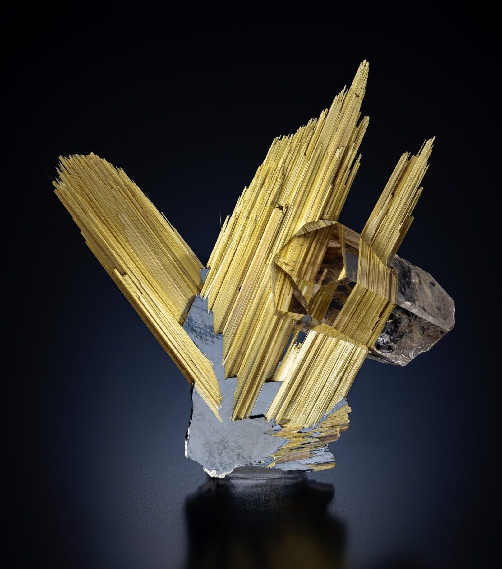 Gold-colored ray-shaped minerals intersect with a quartz crystal.