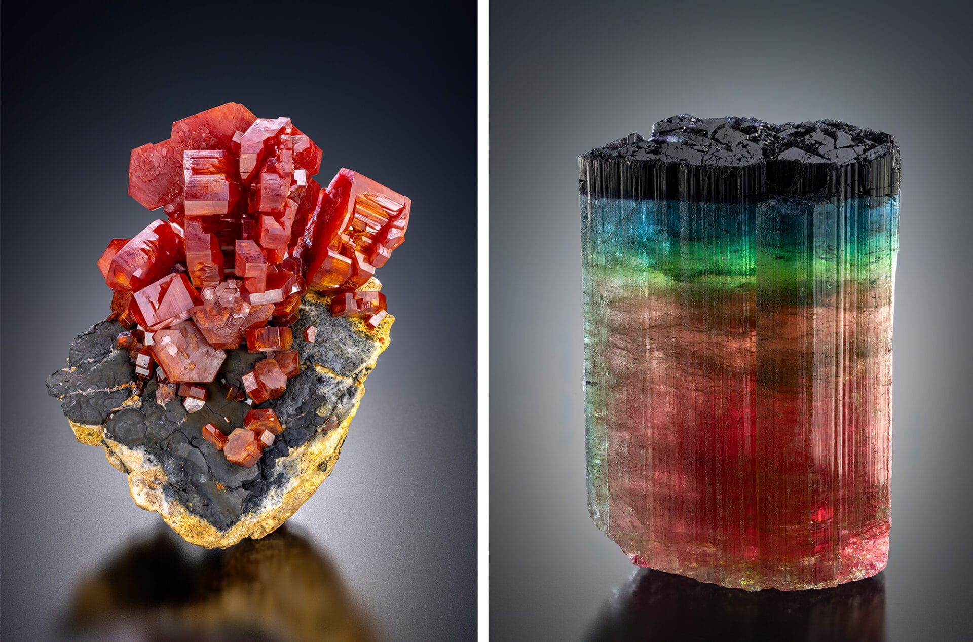 A side-by-side image of two minerals. On the left, red crystalline nodes grow out of a dark base. On the right, a pillar crystal has a prismatic color scheme with a black top.