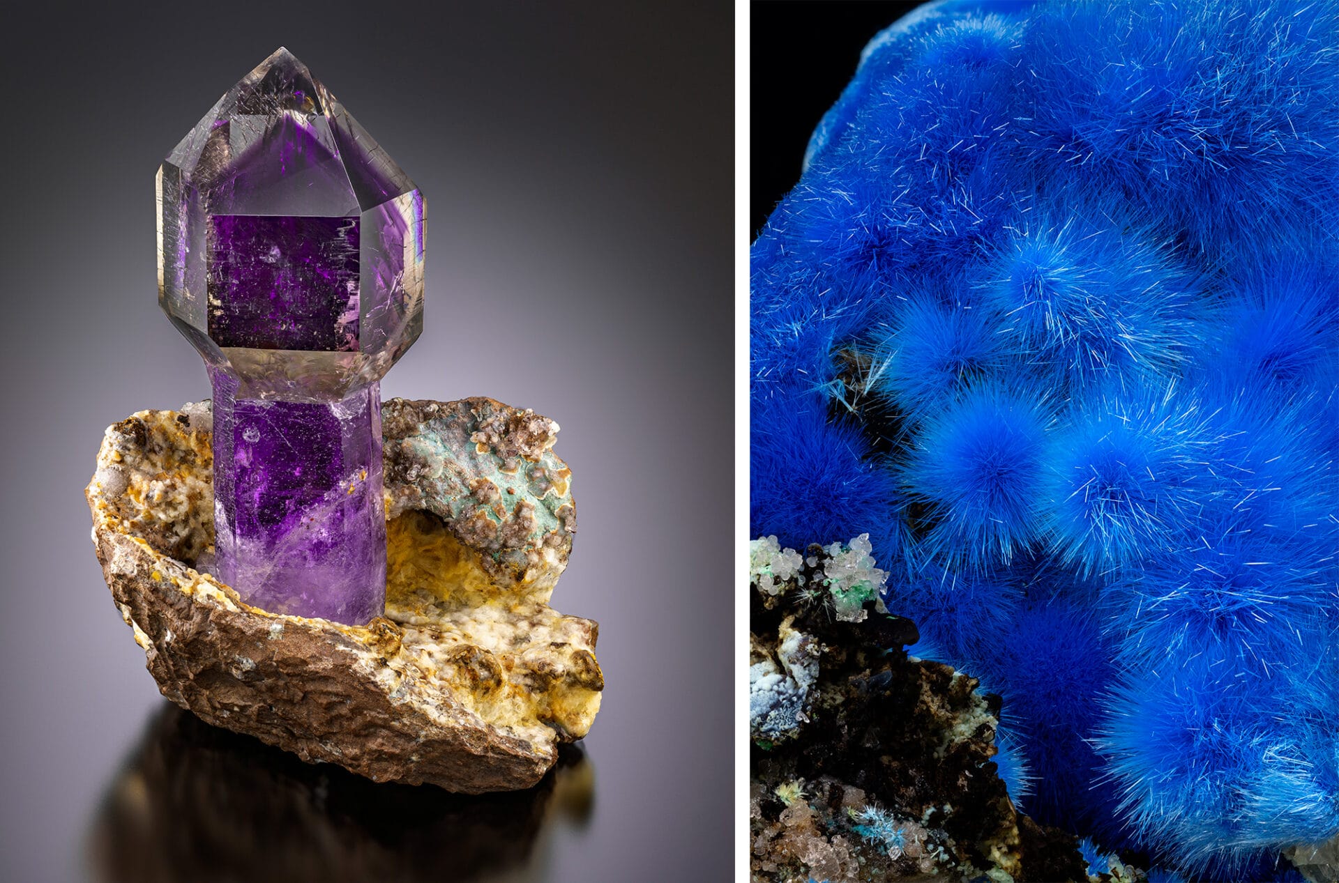 A side-by-side image of two minerals. On the left, amethyst grows out of a golden base. On the right, a detail of a delicate cerulean blue mineral that looks fuzzy.