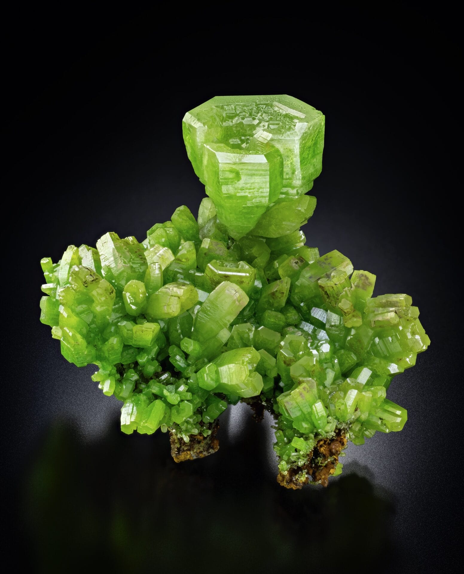 A lime-green mineral with lots of small crystalline nodes.