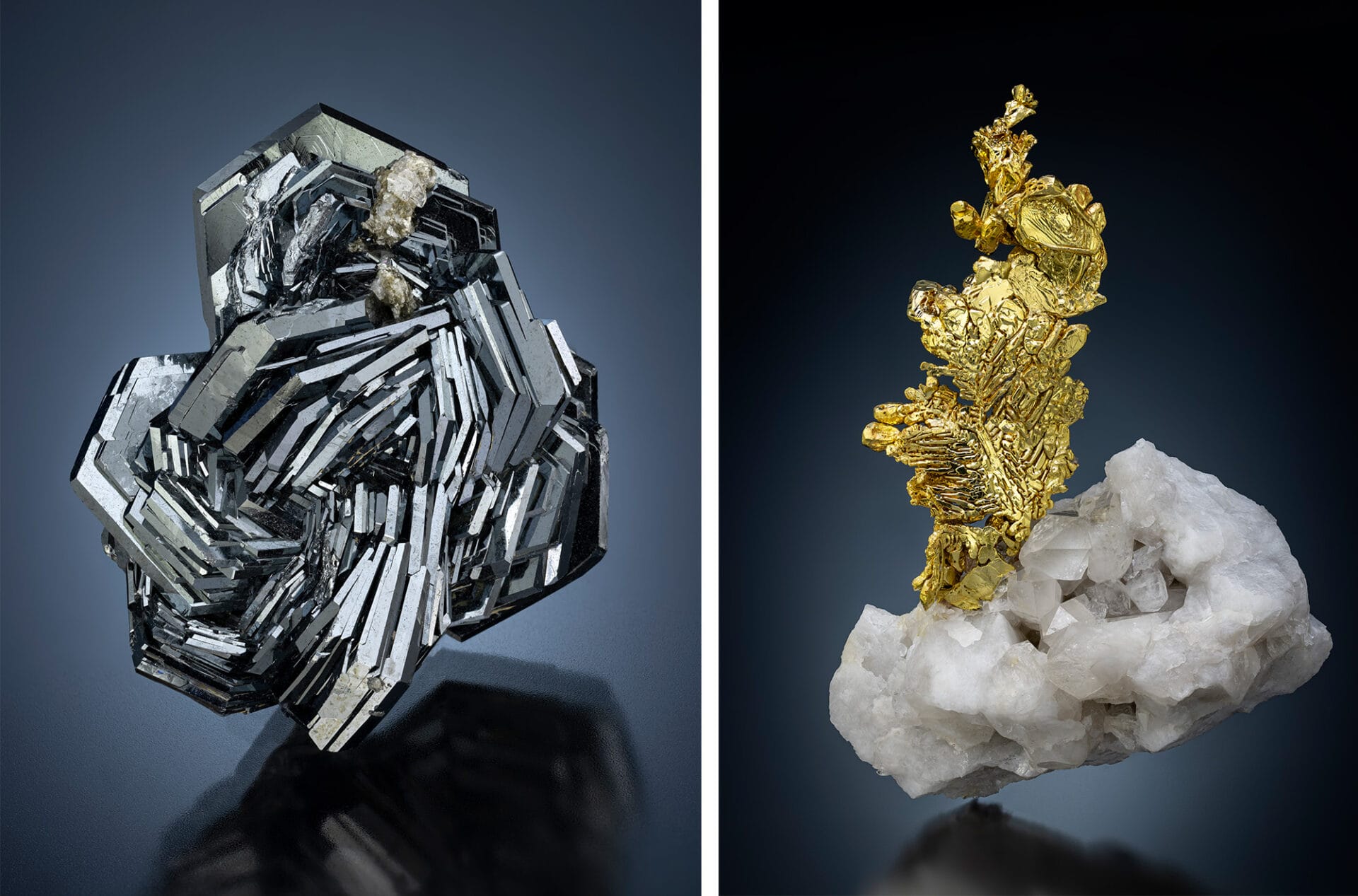A side-by-side image of two minerals. On the left, a metallic hematite, and on the left, a gold floret grows out of a quartz crystal.