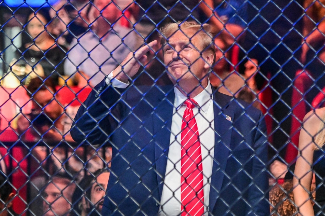 Viral video shows Trump appear to ignore his grandson at UFC match